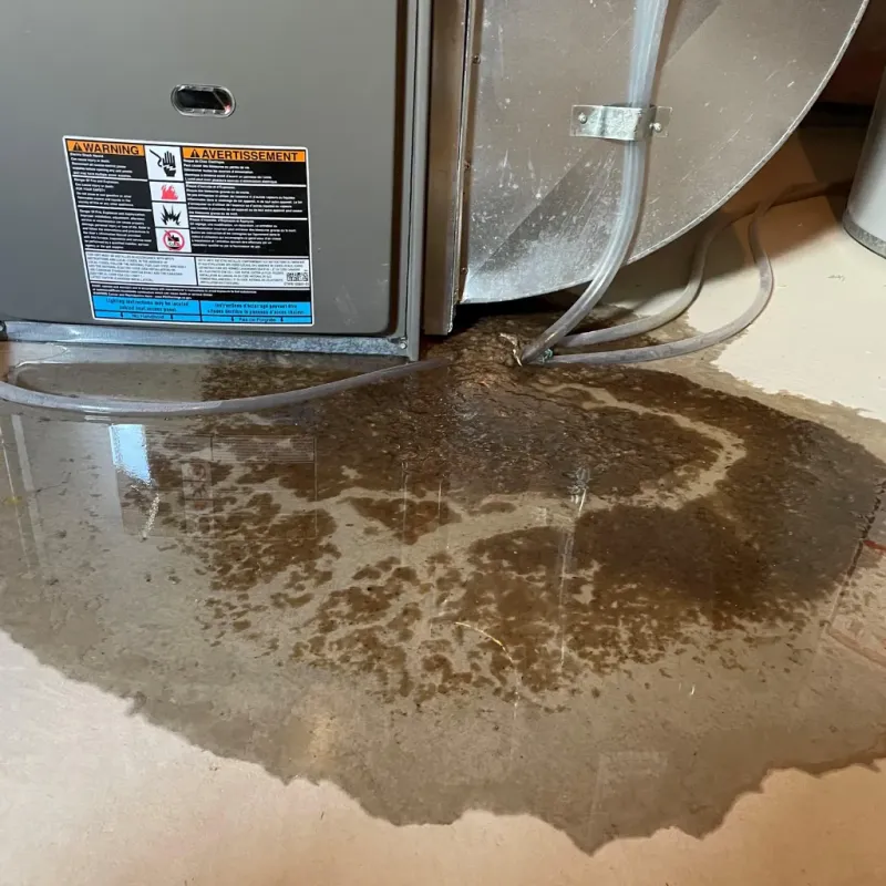 Appliance Leak Cleanup in Shoal Creek, AL